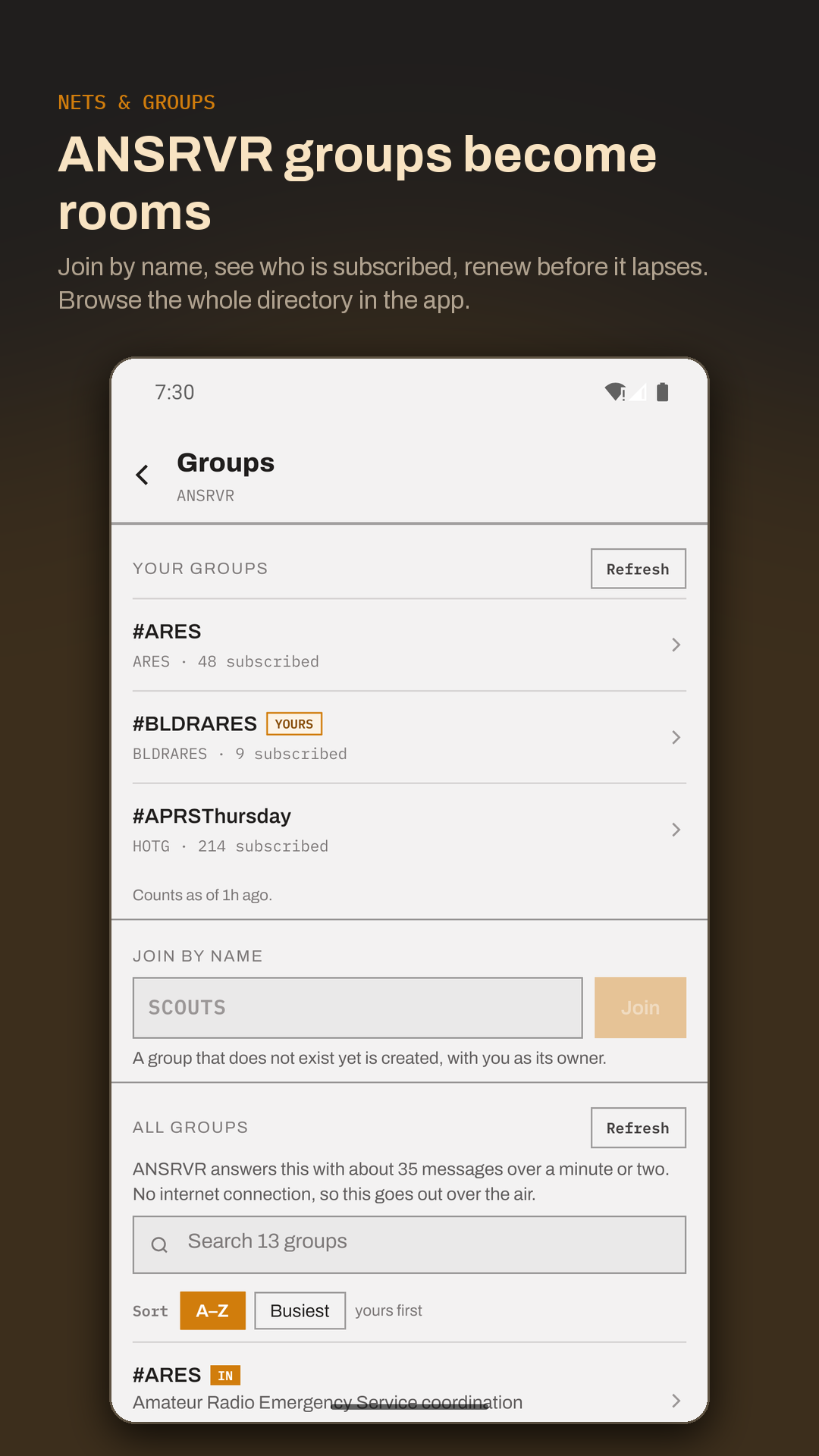 ANSRVR groups and nets